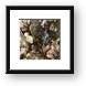 Buy Framed Print