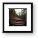 Speeding along the Haleakala Highway Framed Print