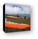 Paragliders taking off from Haleakala Canvas Print