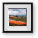 Buy Framed Print