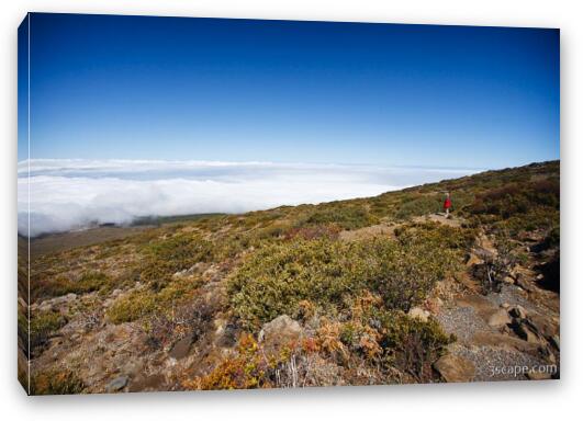 Hiking above the clouds Fine Art Canvas Print