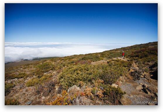 Hiking above the clouds Fine Art Metal Print