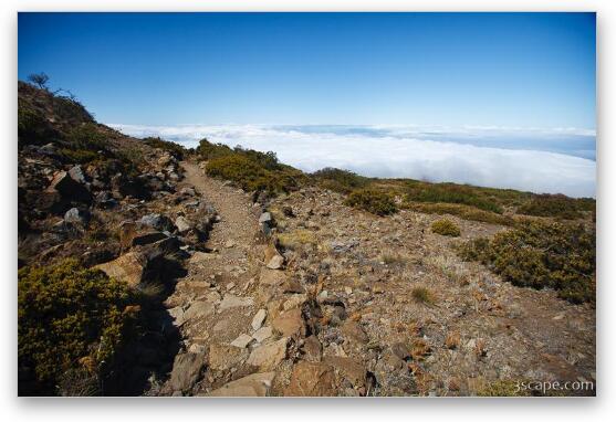 Hiking trail on Haleakala Volcano Fine Art Metal Print
