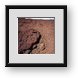 Buy Framed Print