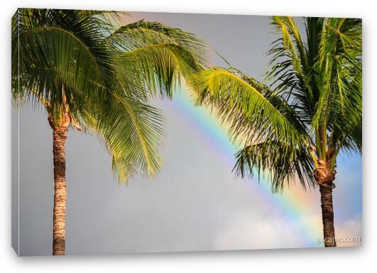 Rainbow and Palm Trees Fine Art Canvas Print