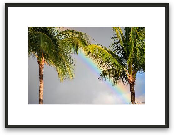 Rainbow and Palm Trees Framed Fine Art Print