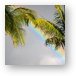 Rainbow and Palm Trees Metal Print