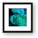 Some tiny nudibranchs Framed Print