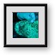 Buy Framed Print