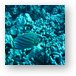 Ornate Butterfly Fish Metal Print