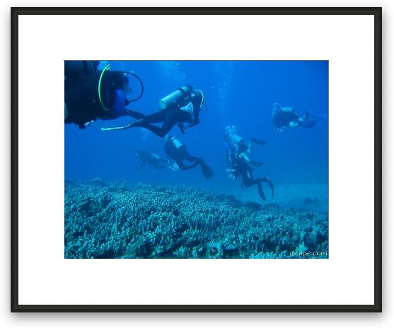 Group of scuba divers Framed Fine Art Print