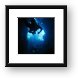 Scuba diving in swim-through Framed Print