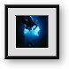 Buy Framed Print