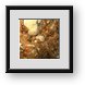 Buy Framed Print