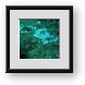 Buy Framed Print