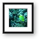 Longnose Butterfly fish Framed Print