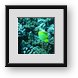 Buy Framed Print