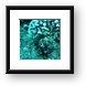 Arc eye hawkfish sitting on coral Framed Print