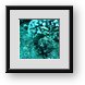 Buy Framed Print