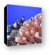 Bright finger coral and some White-spotted Damsel fish Canvas Print