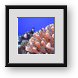 Buy Framed Print