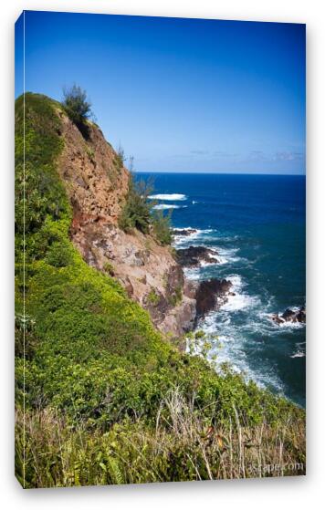 Maui's rugged coast near Pilale Bay Fine Art Canvas Print