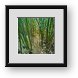 Buy Framed Print