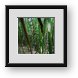 Buy Framed Print