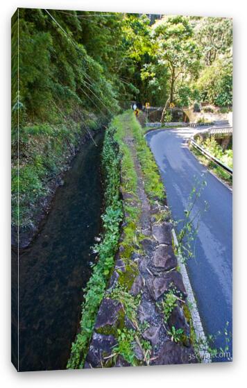 Maui water supply ditch next o Hana Highway Fine Art Canvas Print