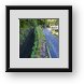Buy Framed Print