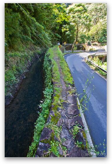 Maui water supply ditch next o Hana Highway Fine Art Metal Print