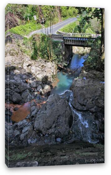 Part of Maui fresh water supply system Fine Art Canvas Print