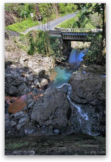 Part of Maui fresh water supply system Fine Art Print