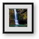 Buy Framed Print