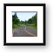 Road to Hana (Hana Highway) Framed Print