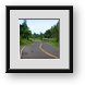 Buy Framed Print