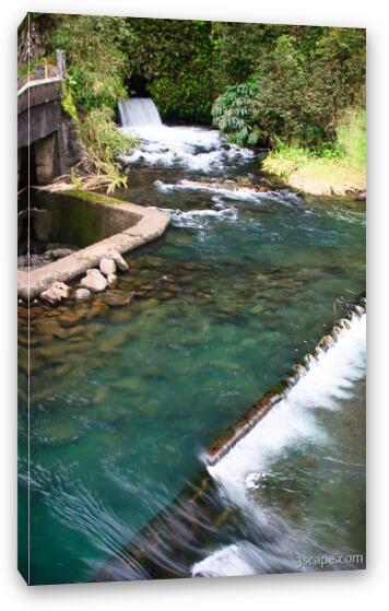Part of Maui fresh water supply system Fine Art Canvas Print