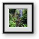 Buy Framed Print