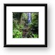 100 Foot Wailua Waterfall Framed Print