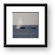 Buy Framed Print