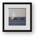 Buy Framed Print