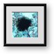 Buy Framed Print