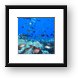 Various marine life at Molokini Framed Print