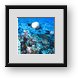 Buy Framed Print
