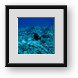 Buy Framed Print