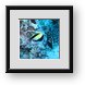 Buy Framed Print