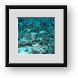 Buy Framed Print