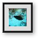 Buy Framed Print