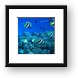 School of Pennant Fish (Banner Fish) Framed Print