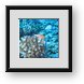 Buy Framed Print